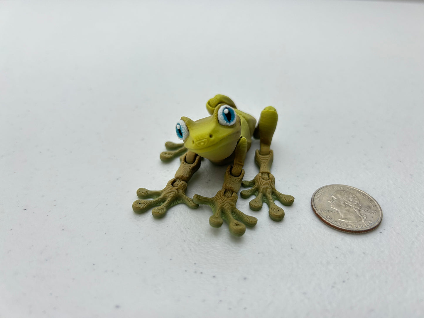 Tree Frog