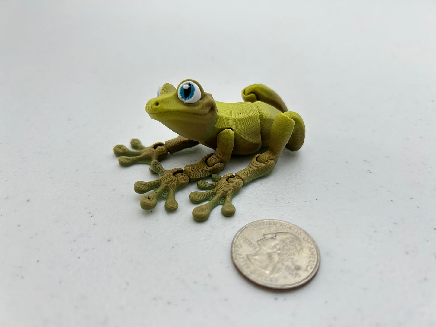 Tree Frog