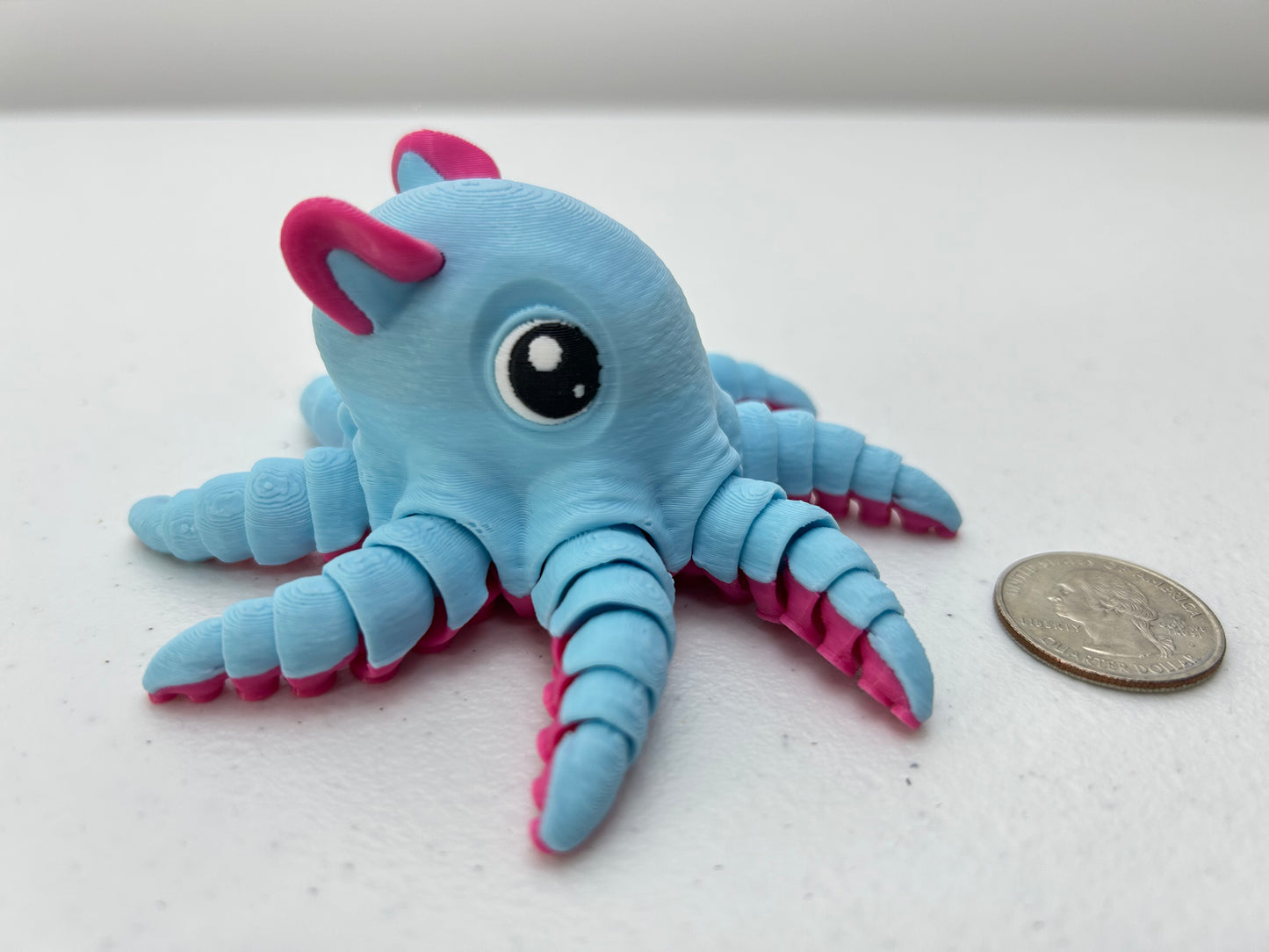 Flapjack Octopus