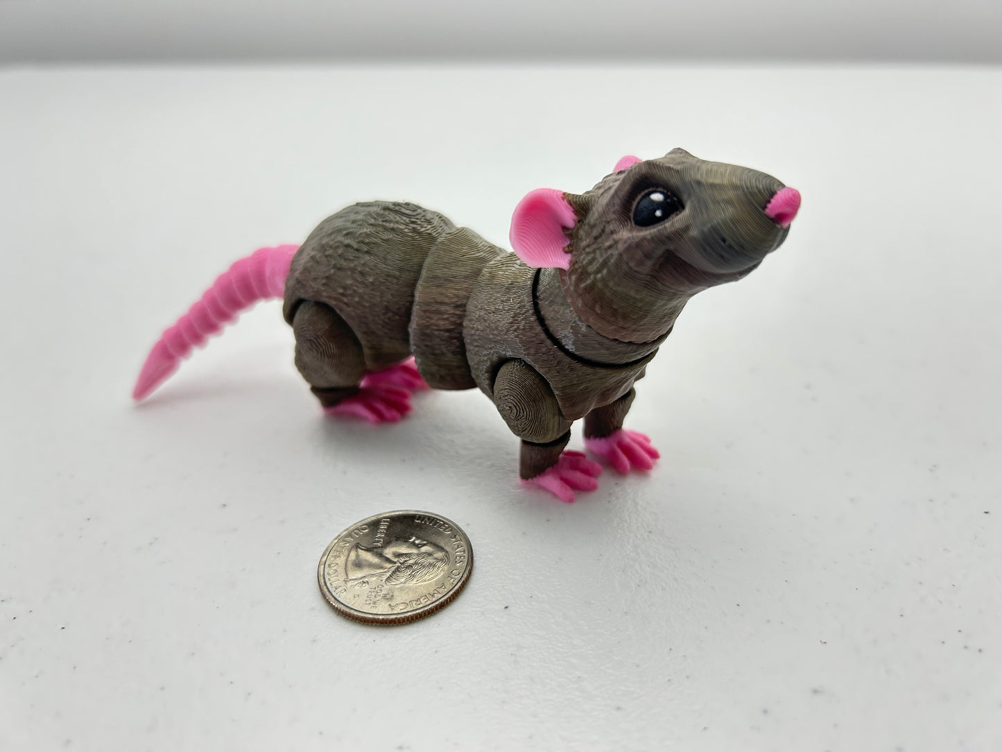 Rat
