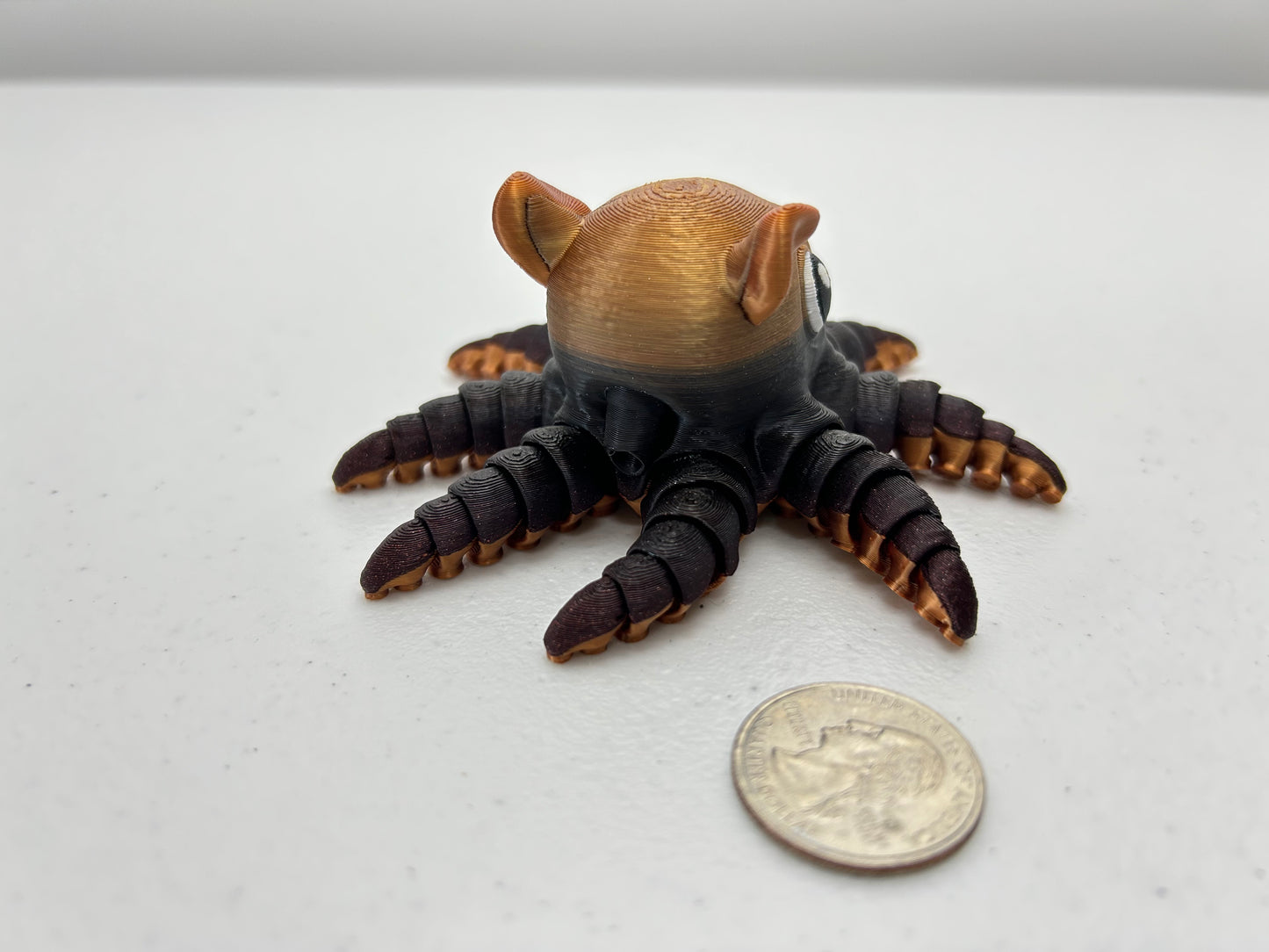 Flapjack Octopus