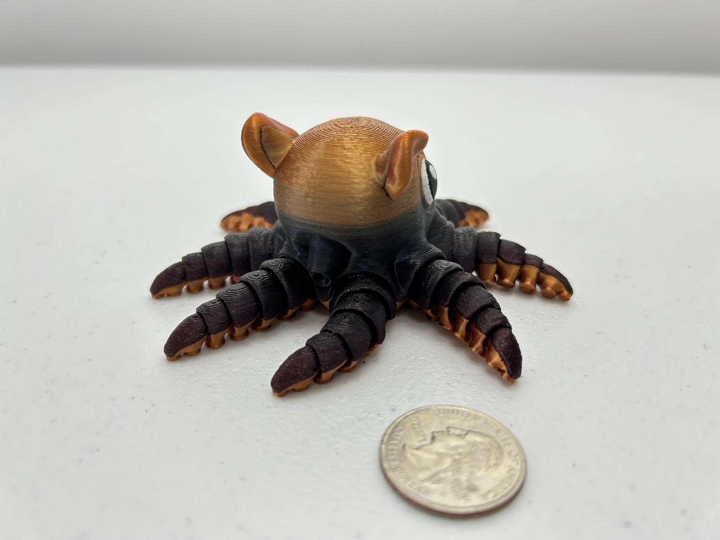 Flapjack Octopus