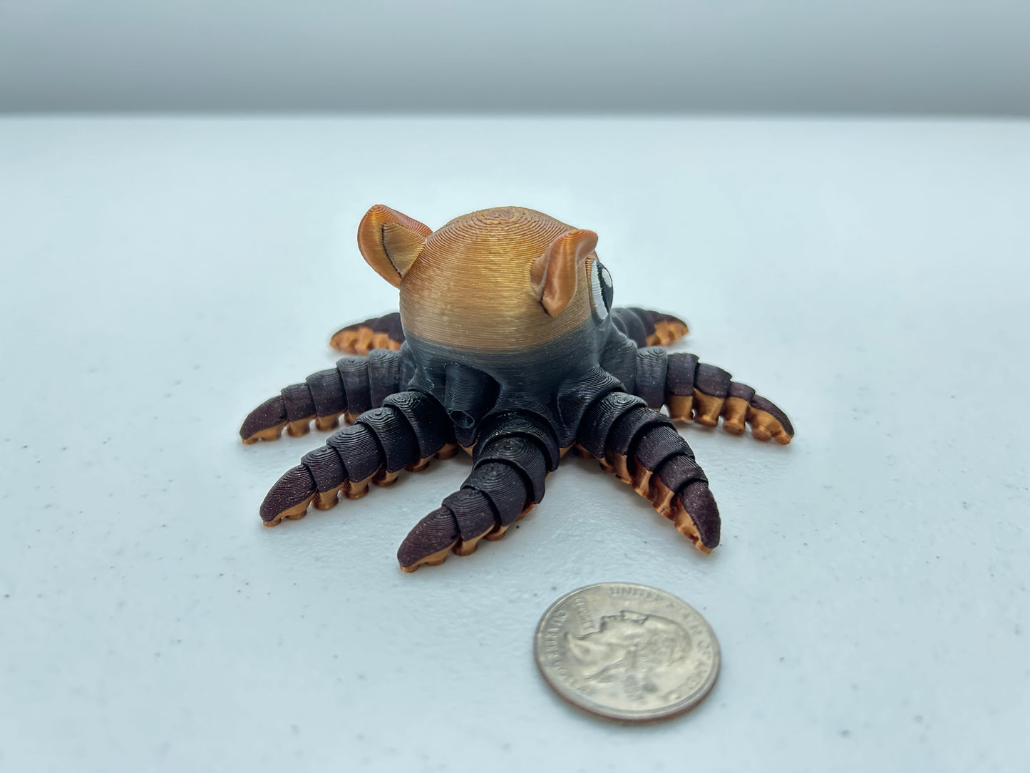 Flapjack Octopus