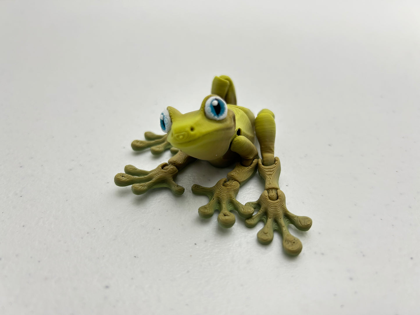 Tree Frog