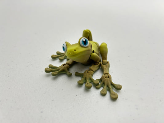 Tree Frog