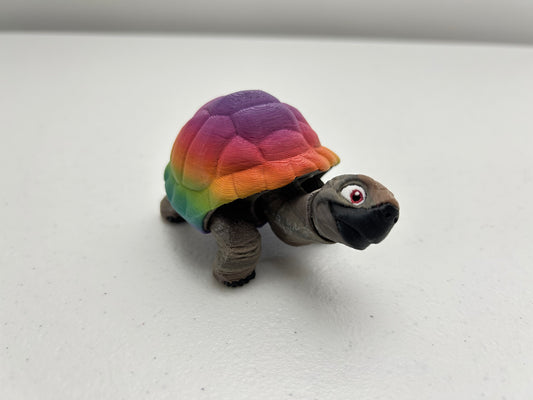 Tortoise