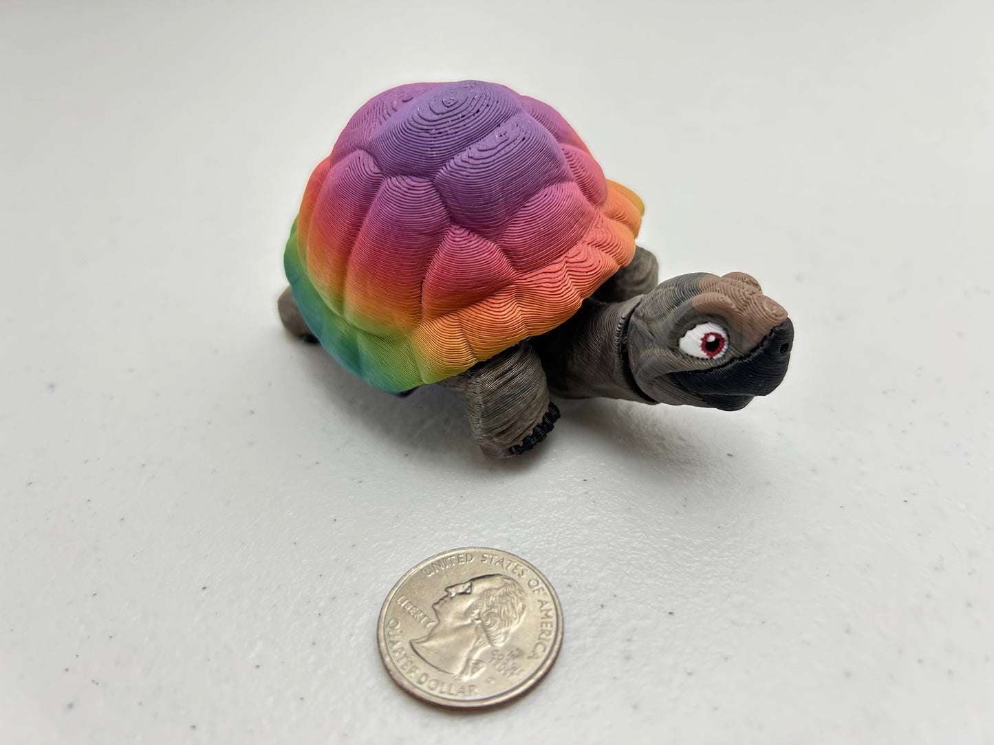 Tortoise