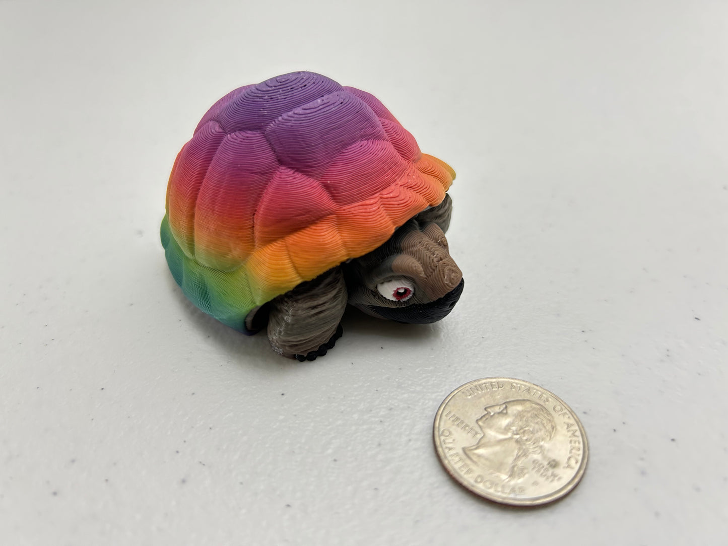 Tortoise