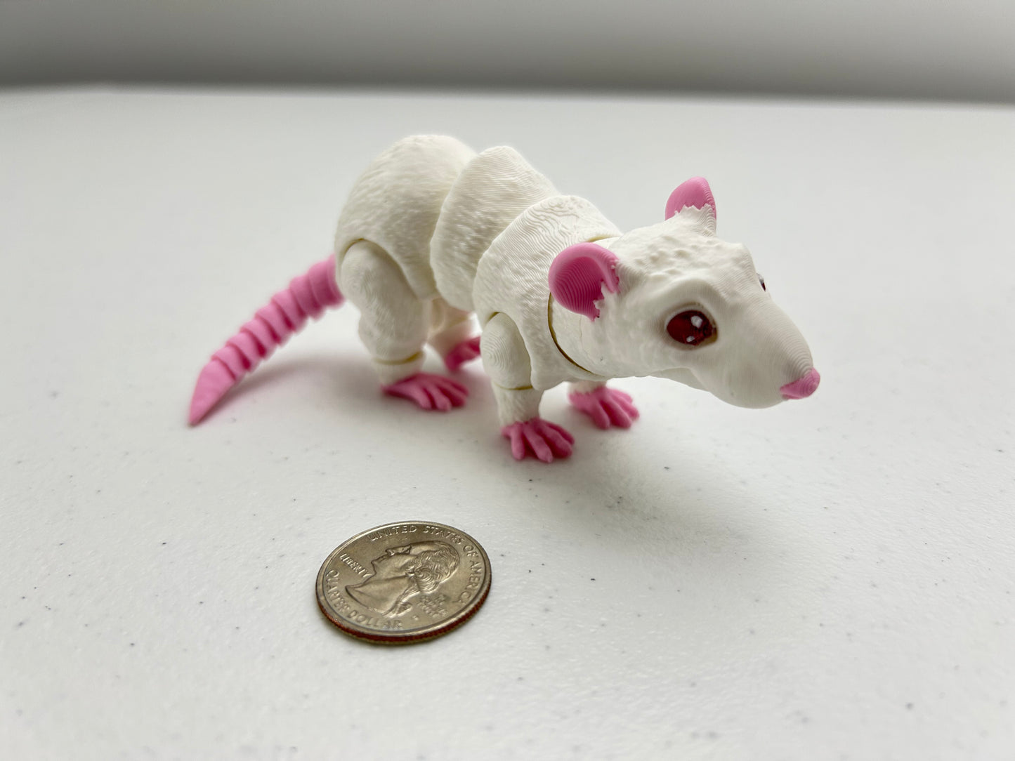 Rat