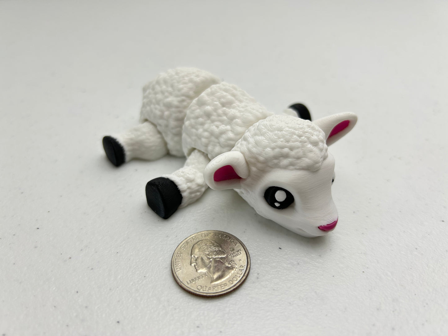 Sheep