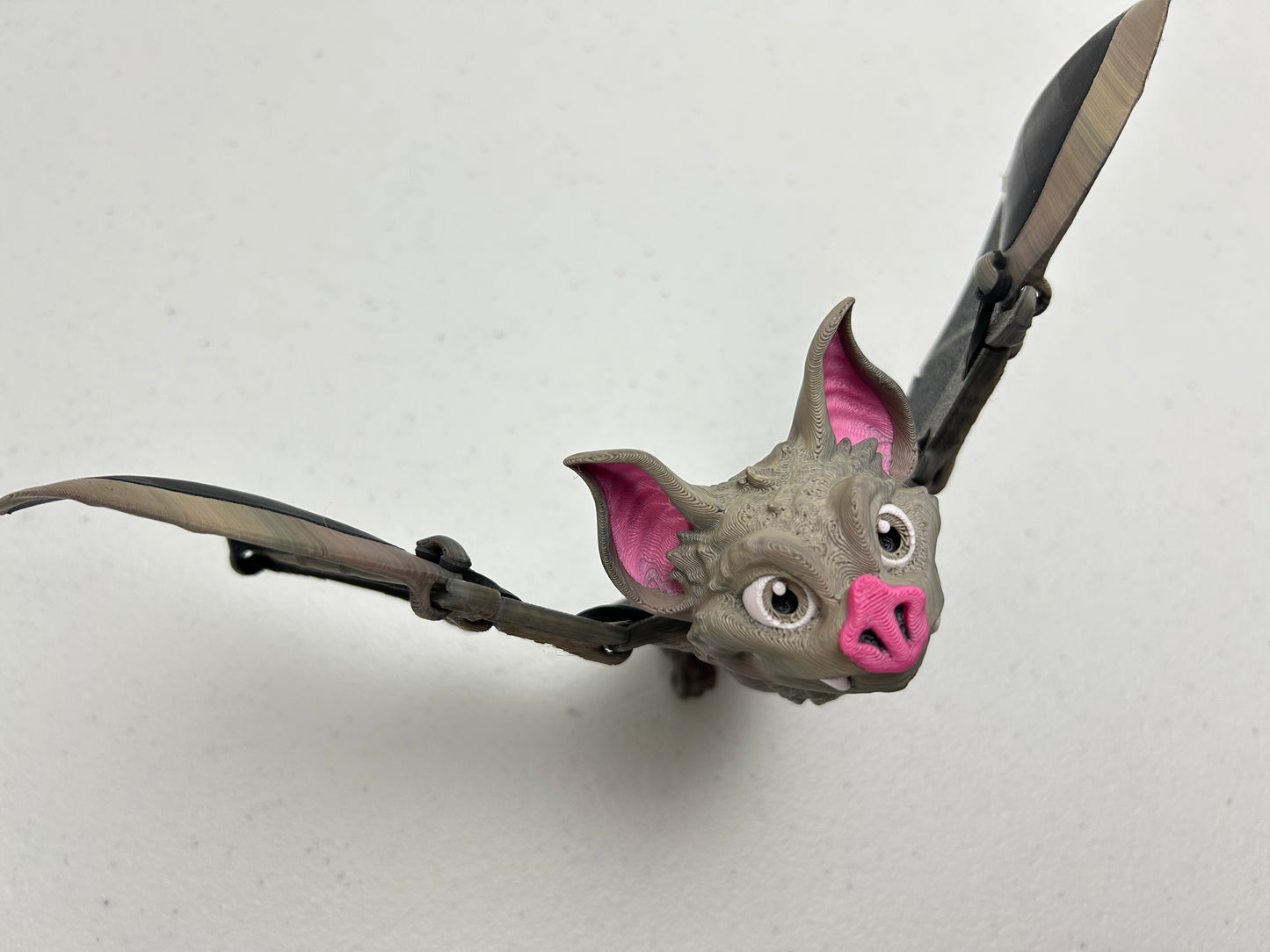 Vampire Bat