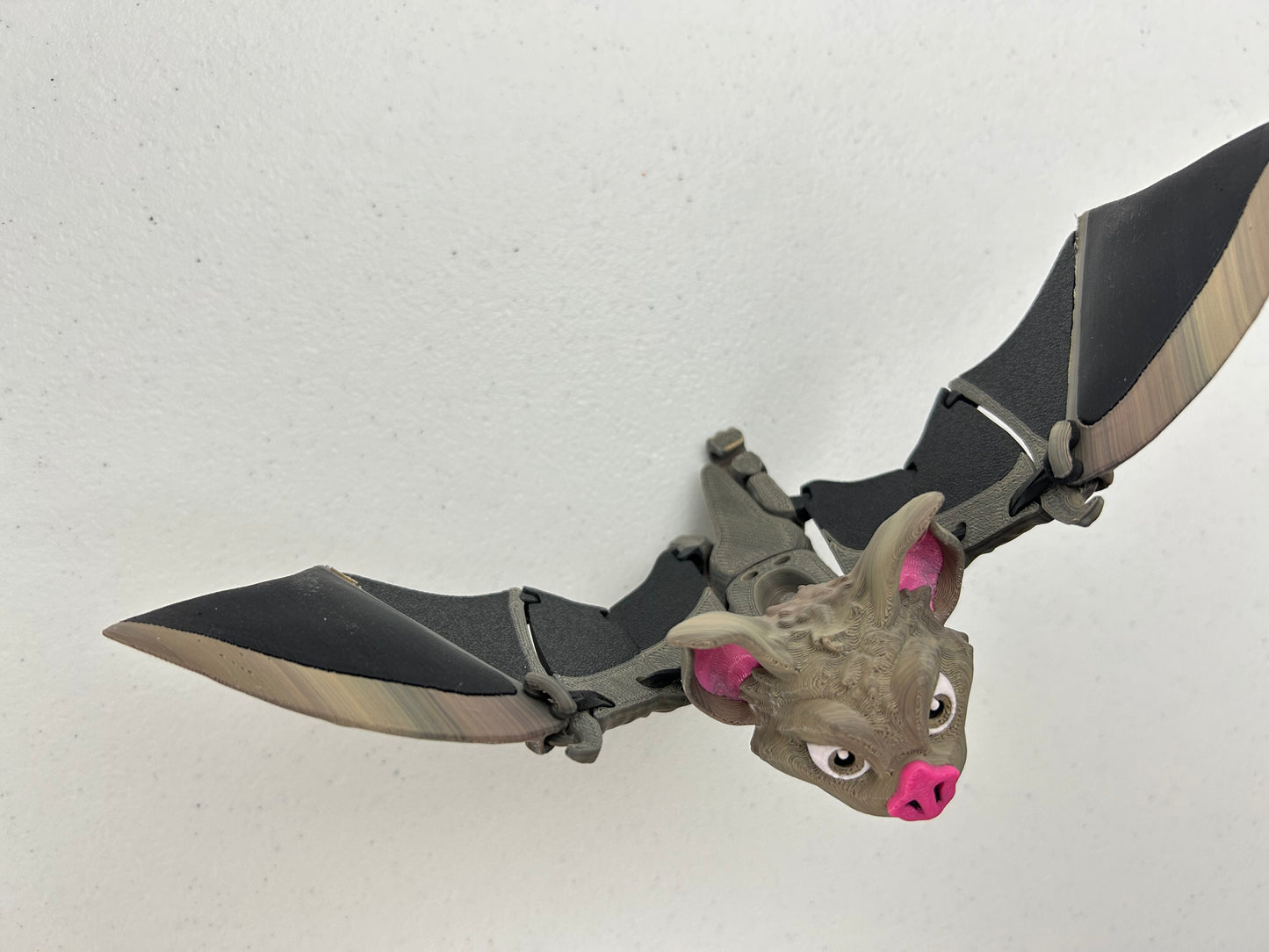 Vampire Bat