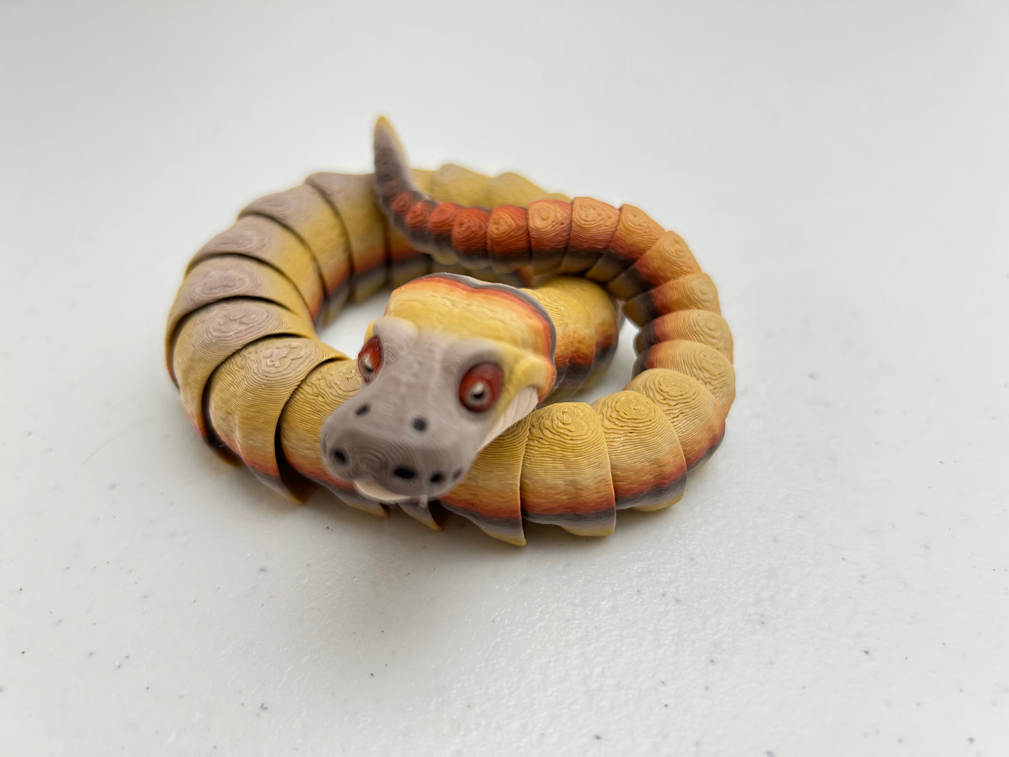 Ball Python Snake