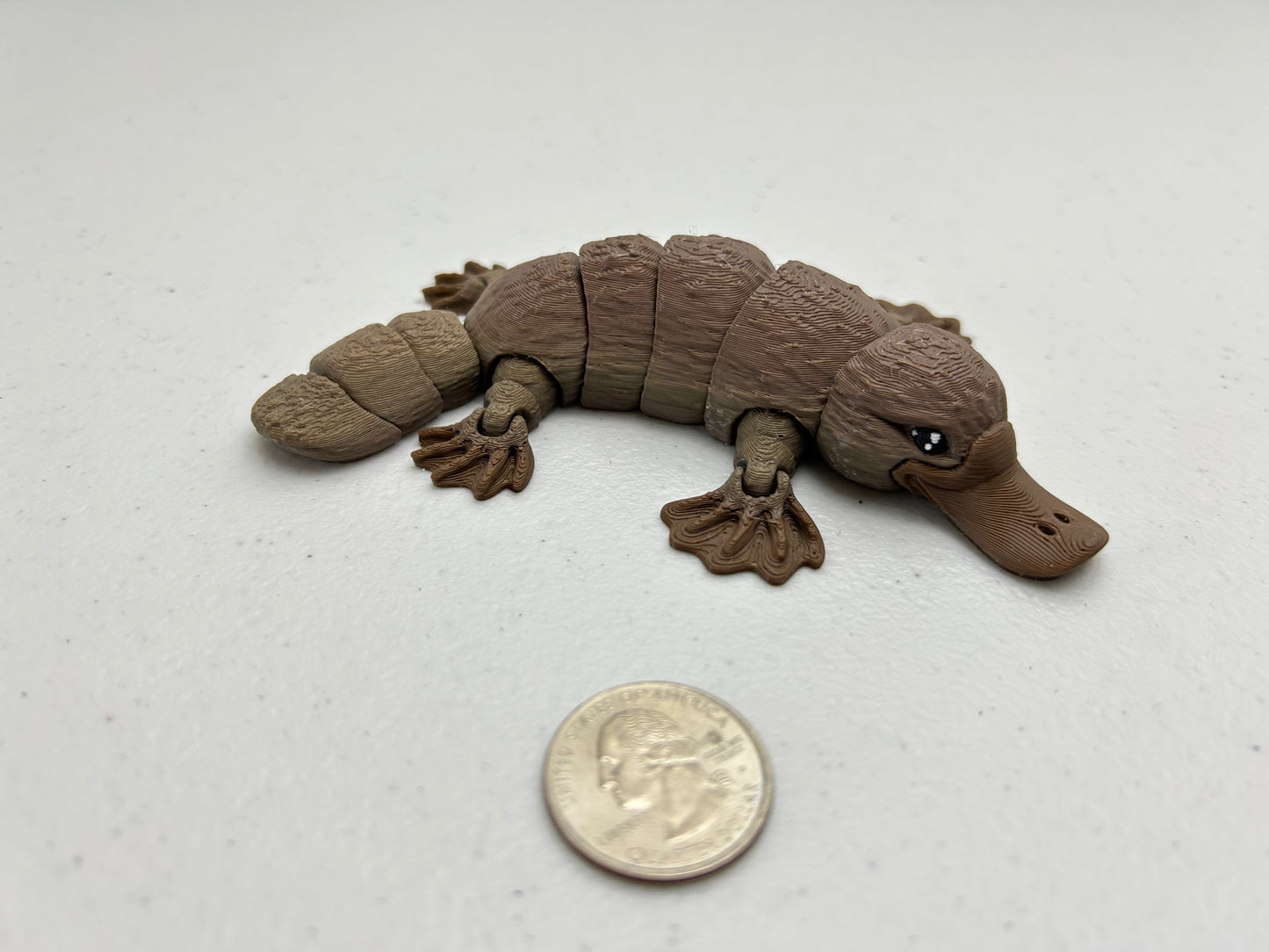 Platypus