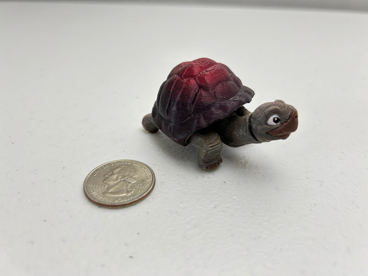 Tortoise