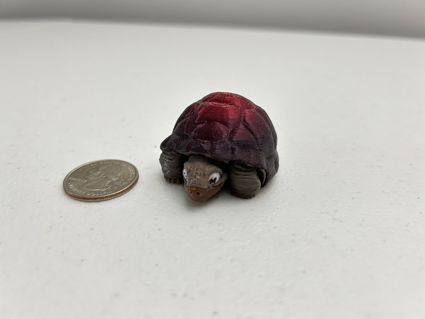 Tortoise