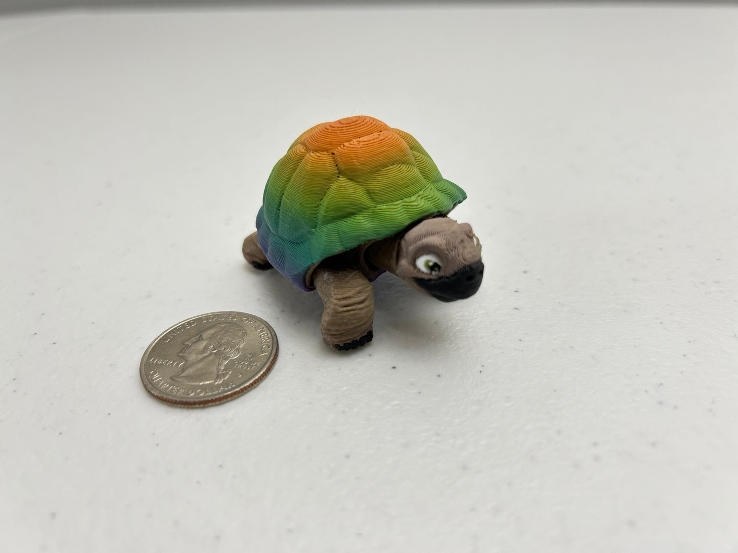 Tortoise
