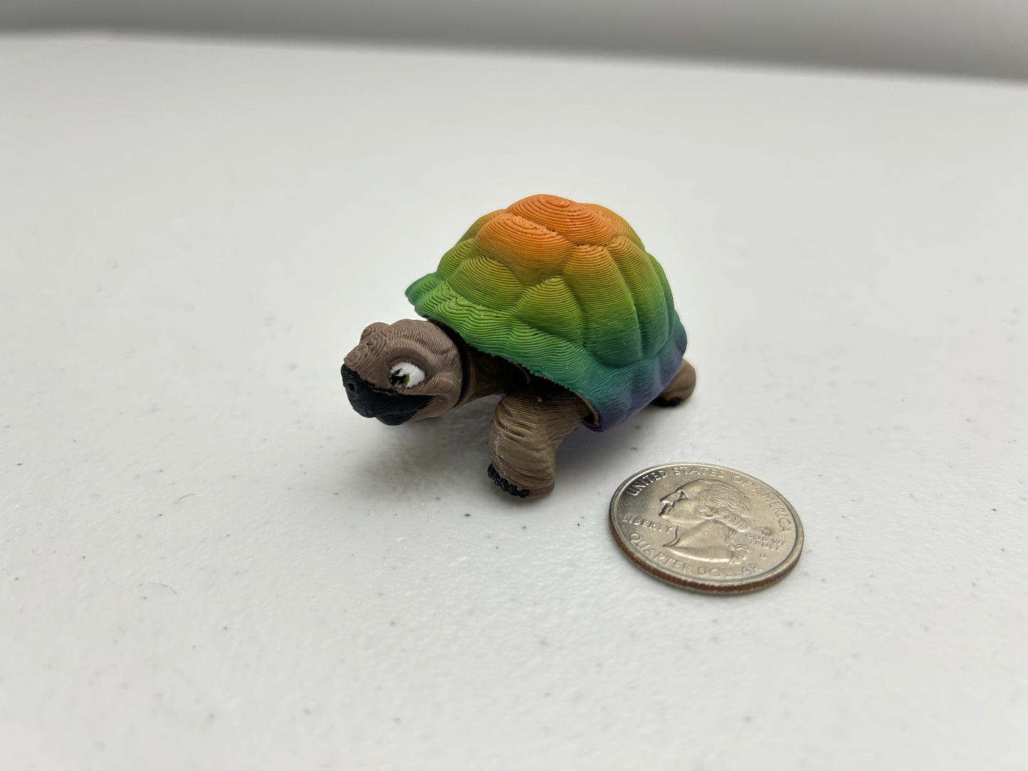 Tortoise