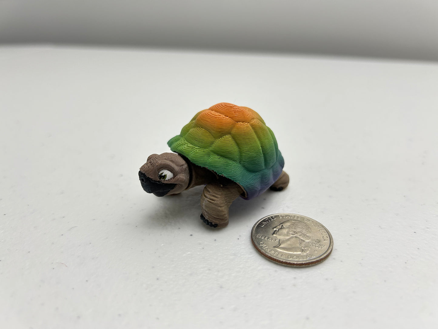 Tortoise