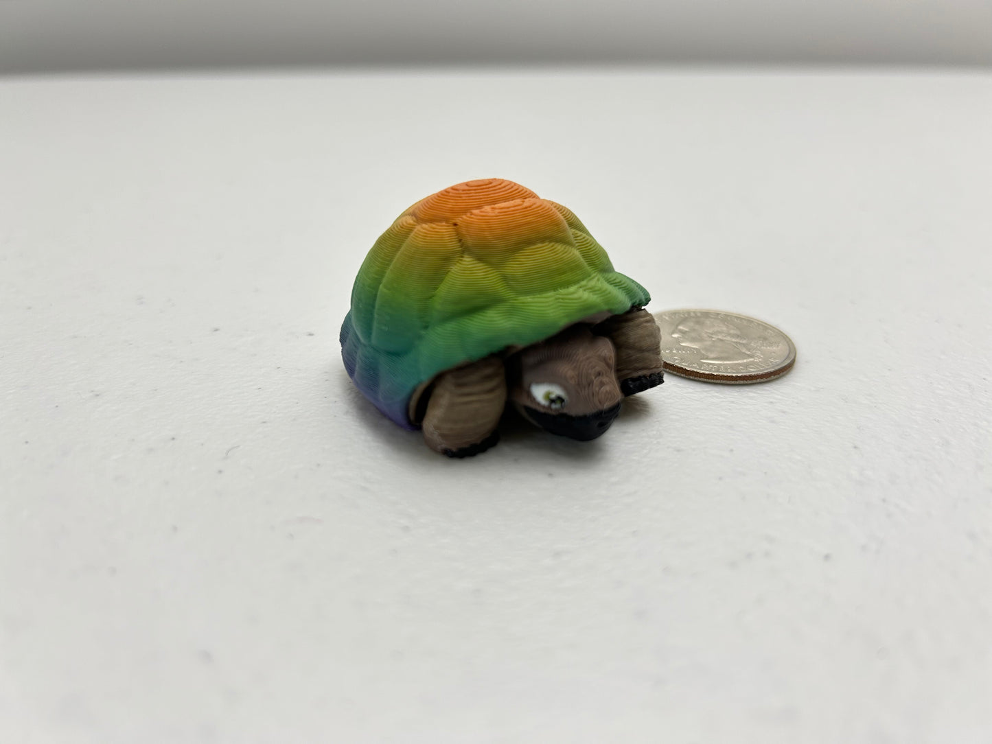 Tortoise