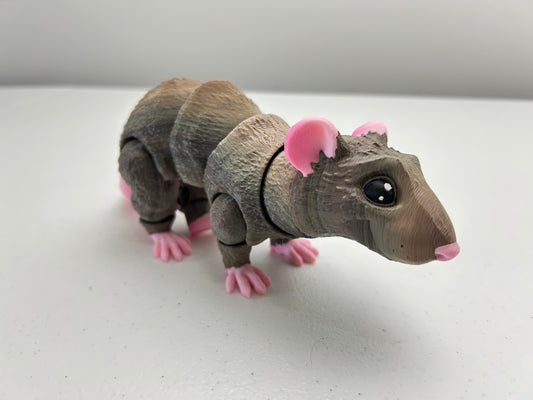 Rat