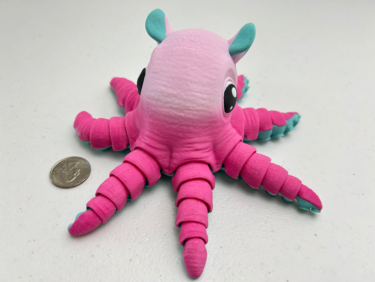 Flapjack Octopus