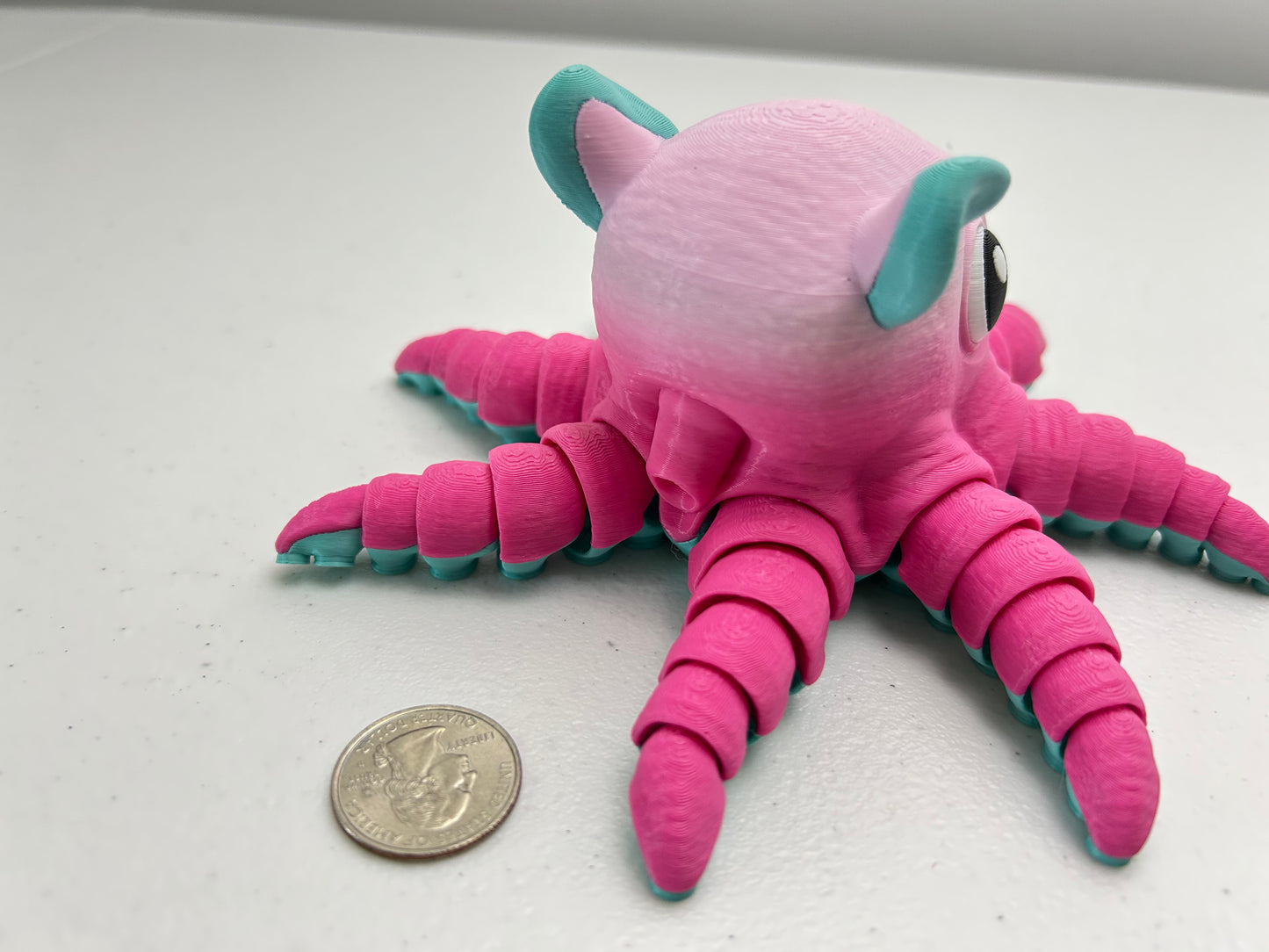 Flapjack Octopus
