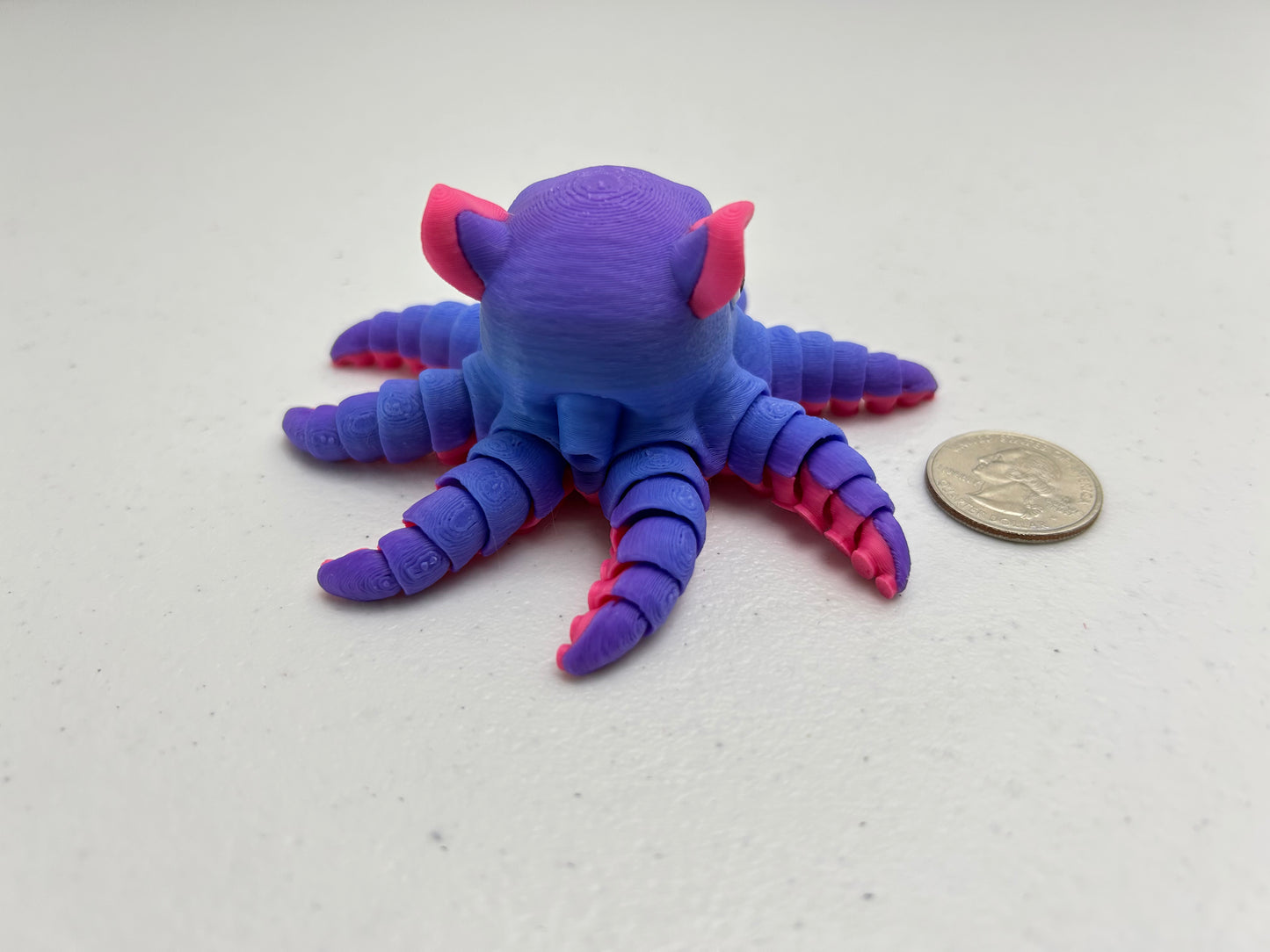 Flapjack Octopus