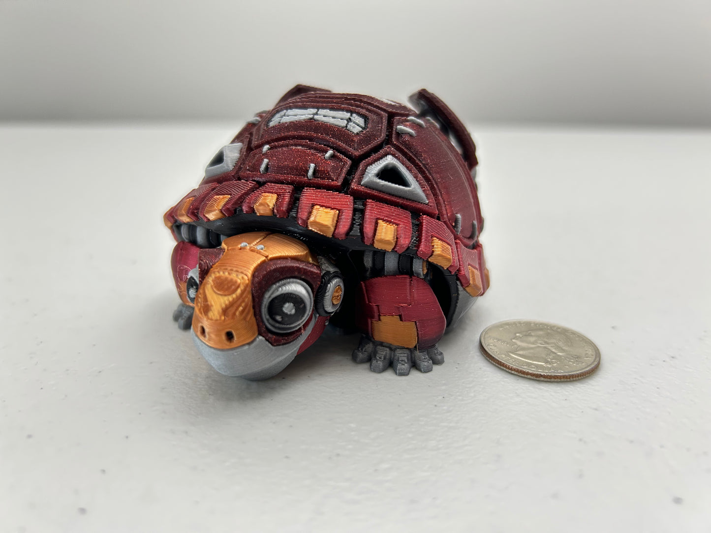 Robotortoise a Robot Tortoise