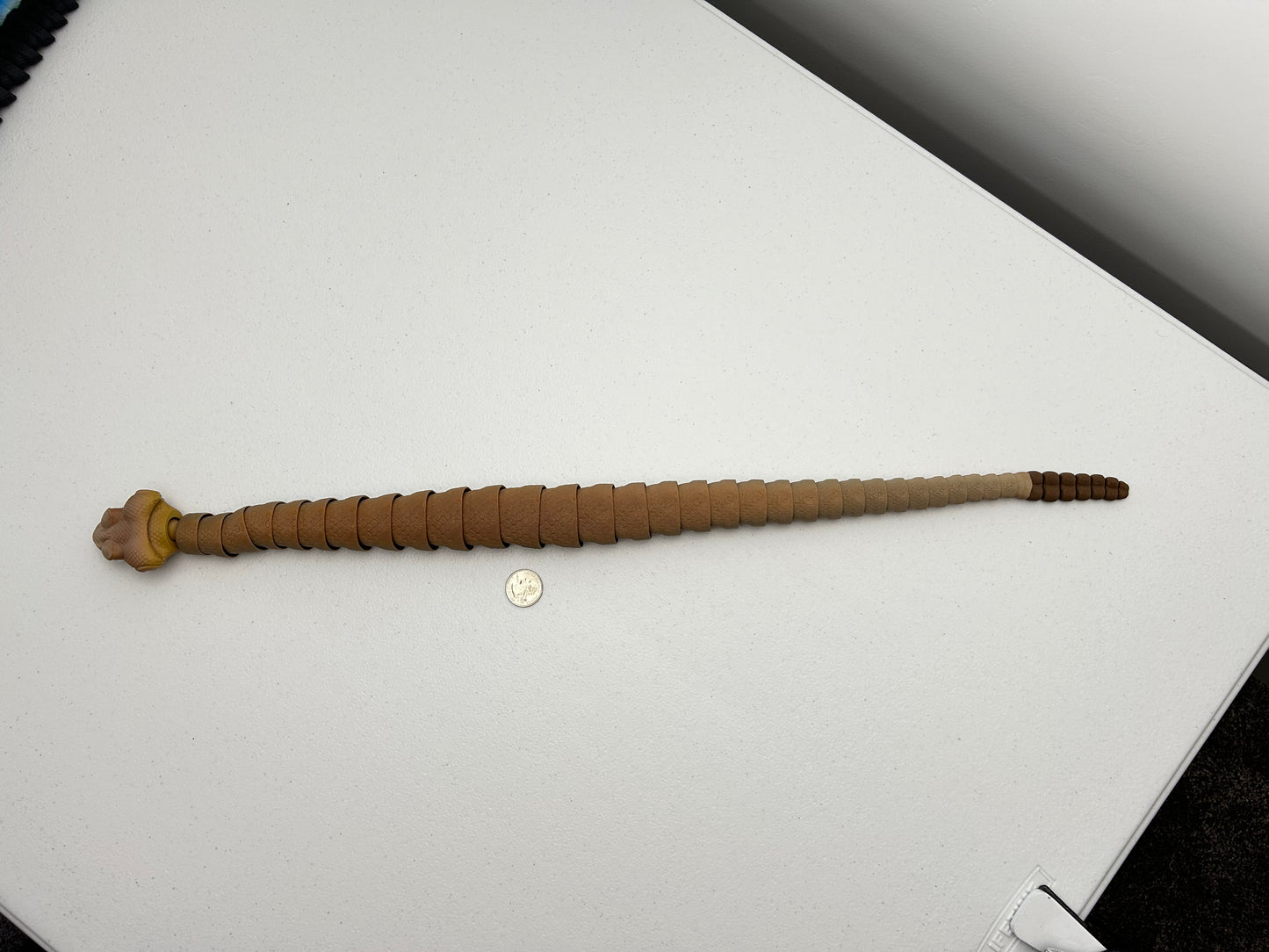 Rattlesnake Snake