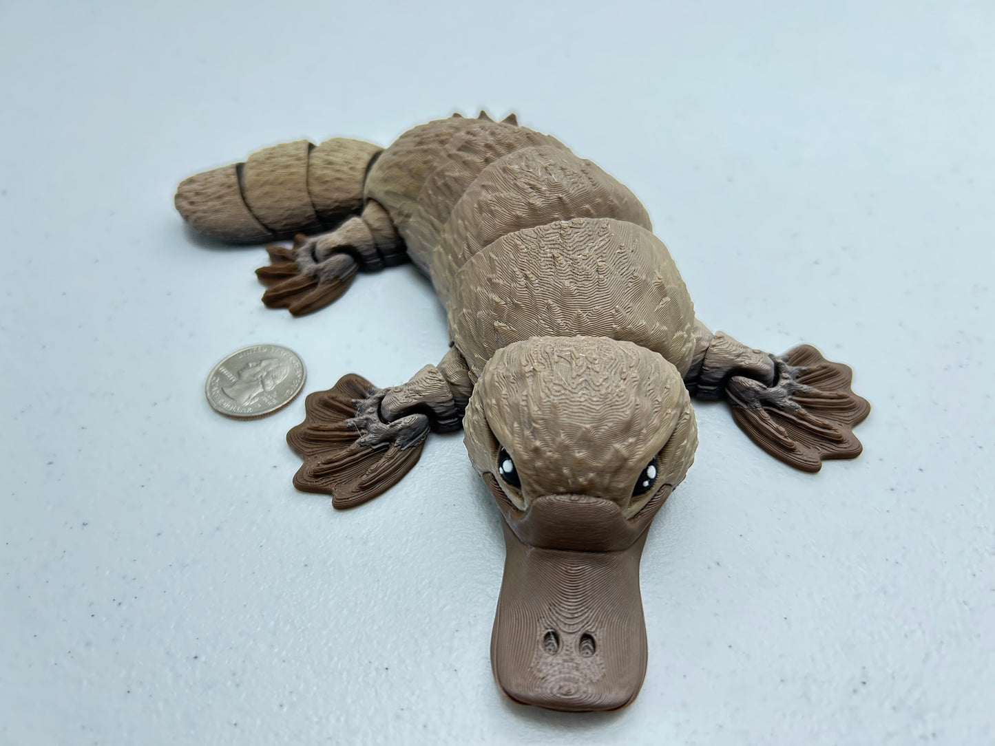Platypus