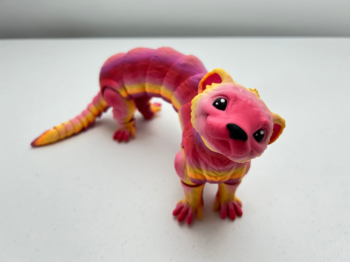 Ferret