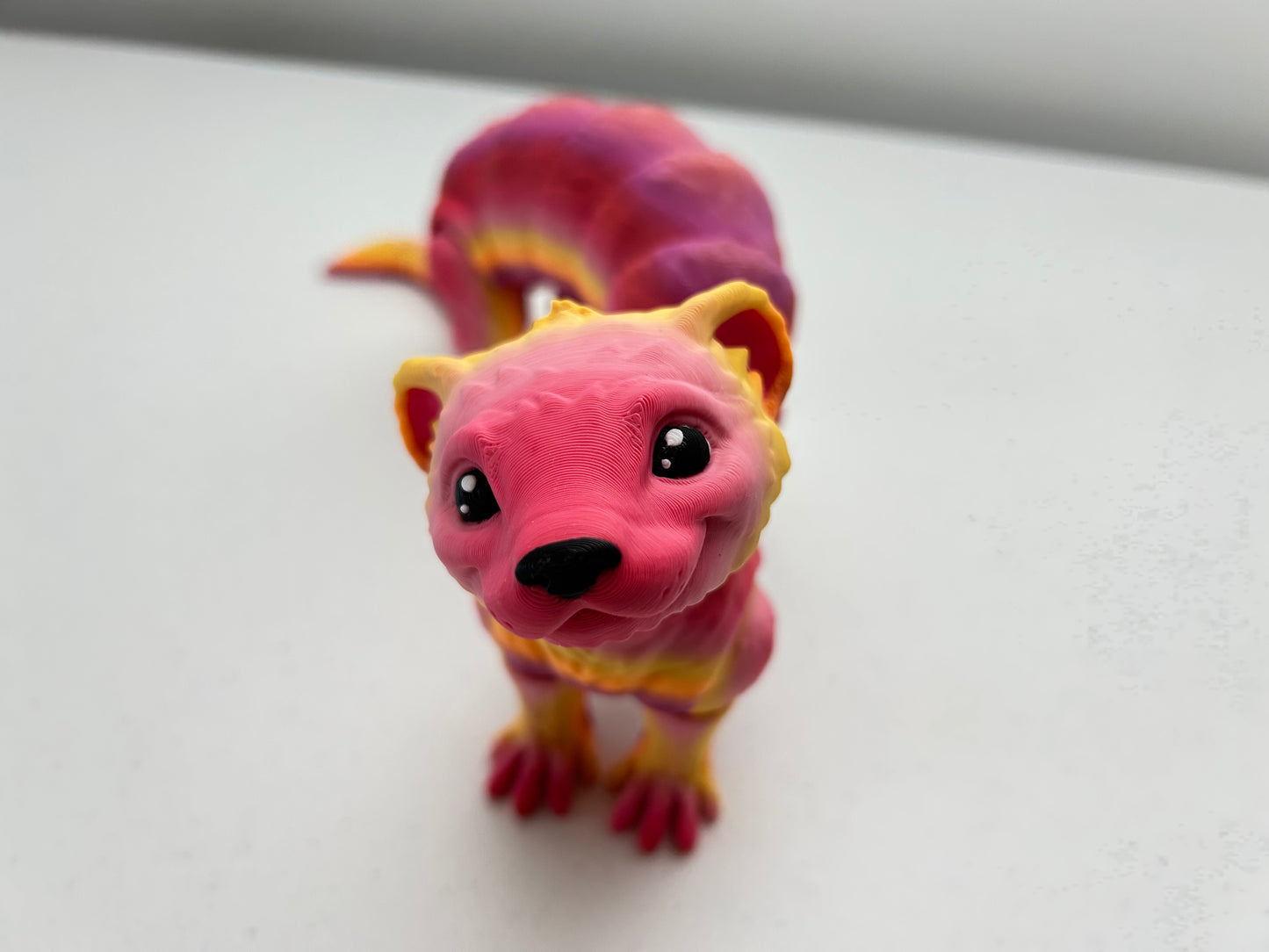 Ferret