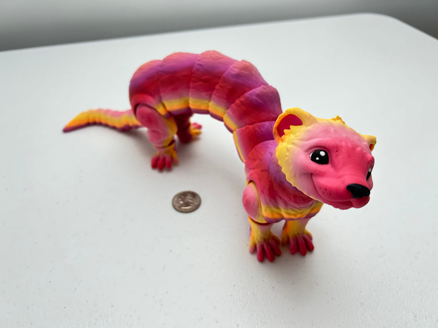 Ferret