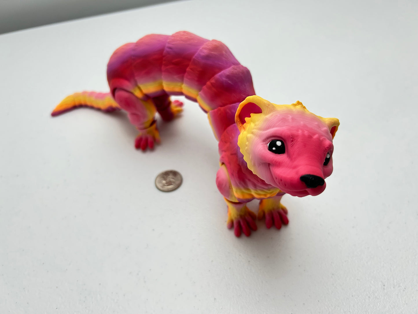 Ferret