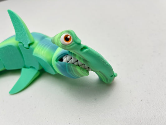 Hammer Head Shark