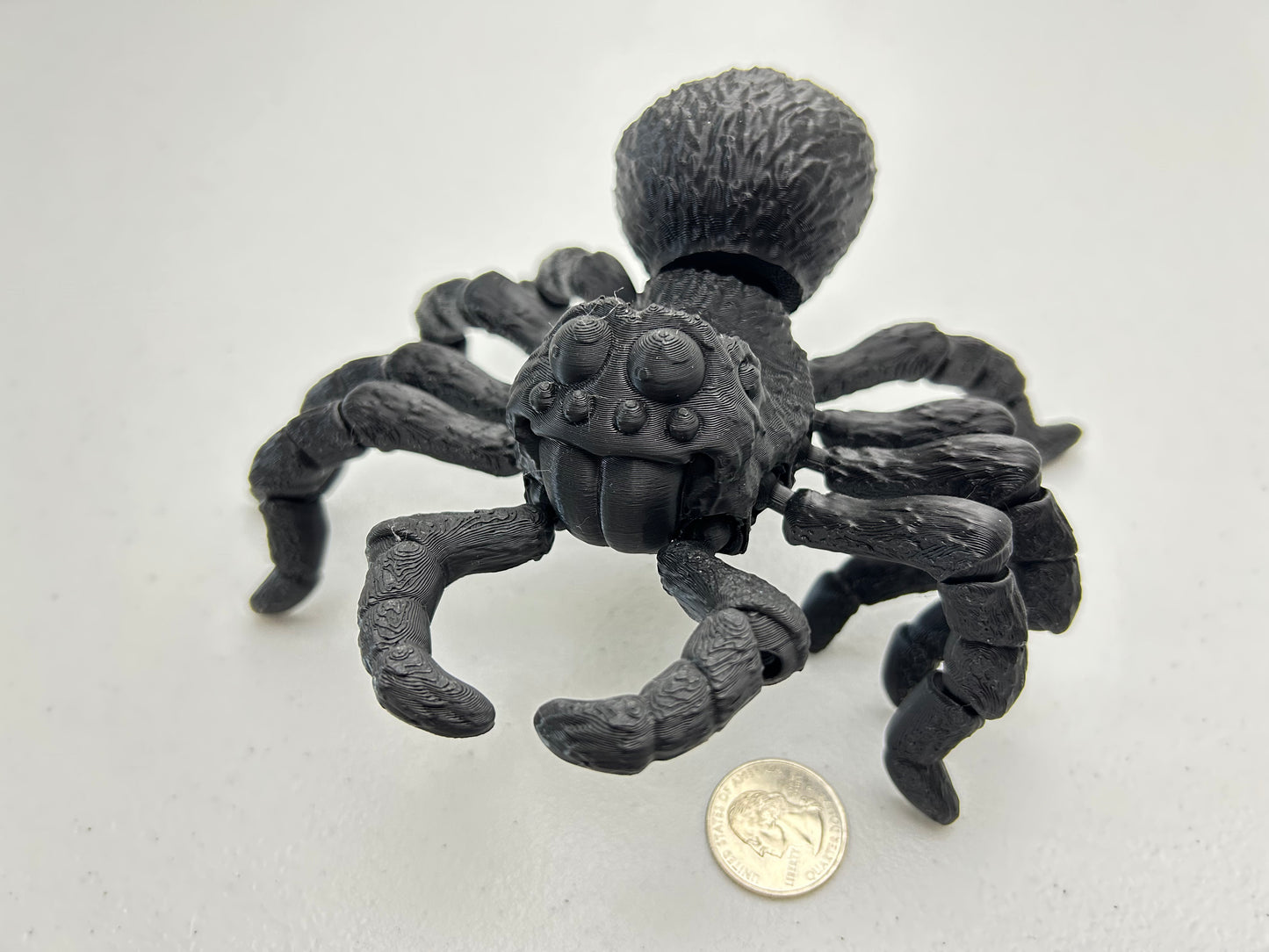 Tarantula