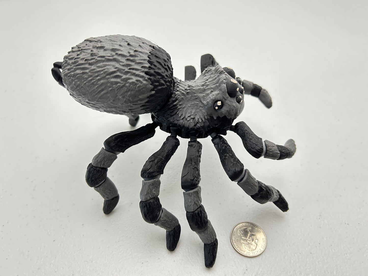Tarantula