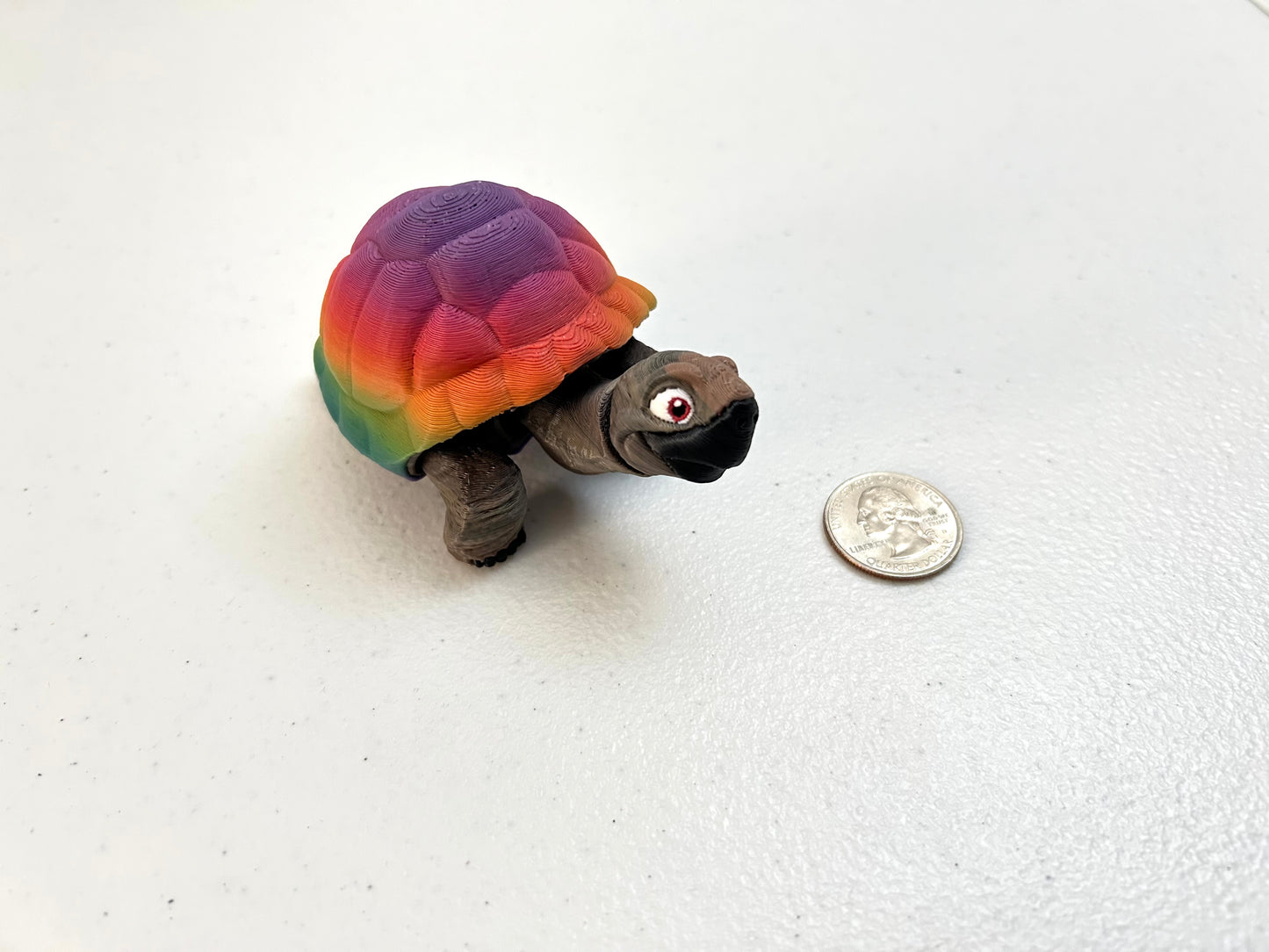 Tortoise
