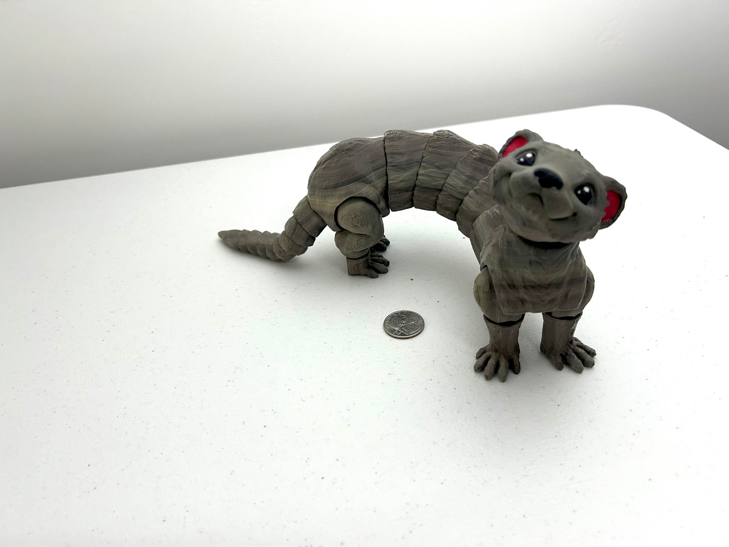 Ferret