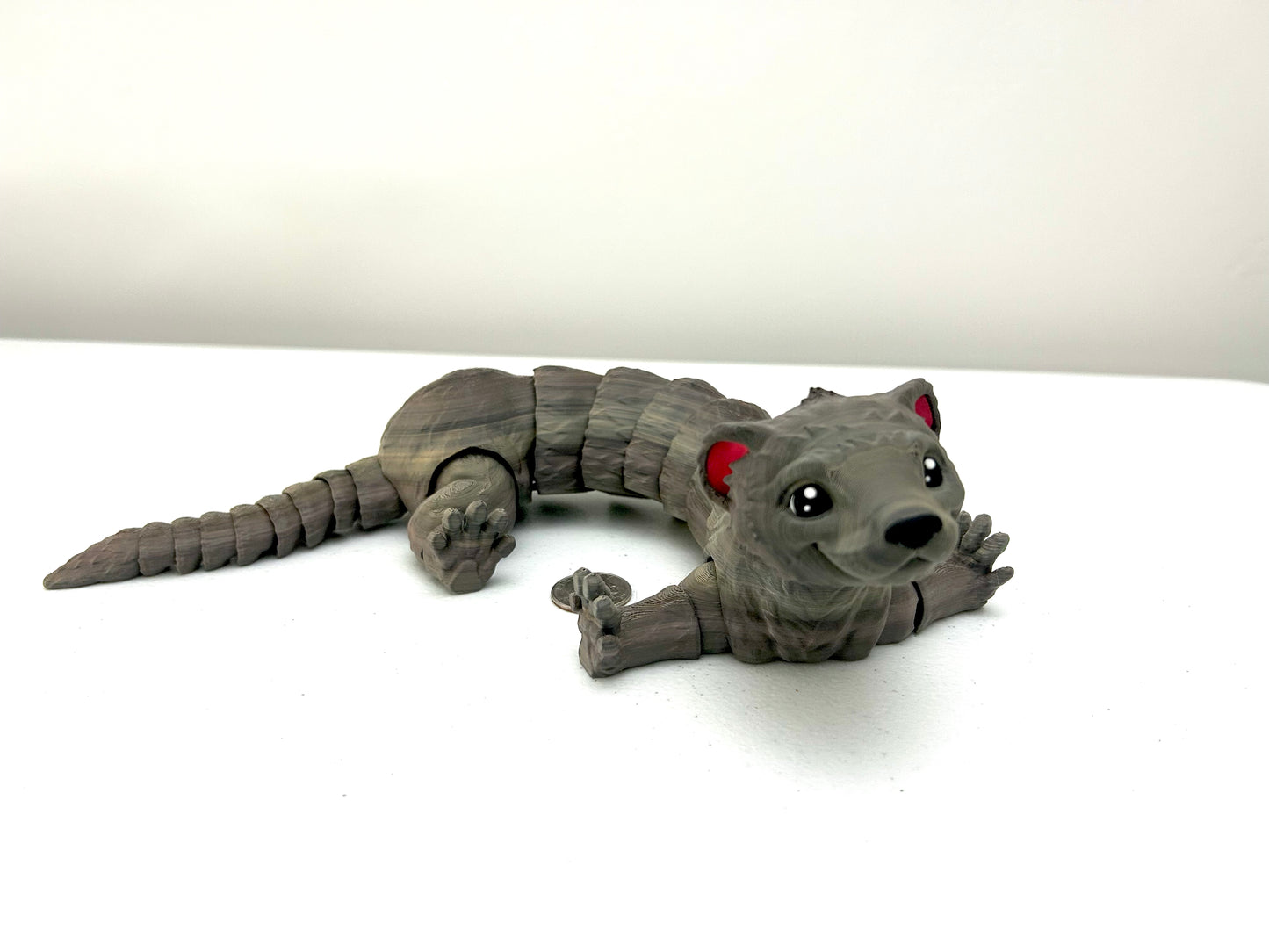 Ferret