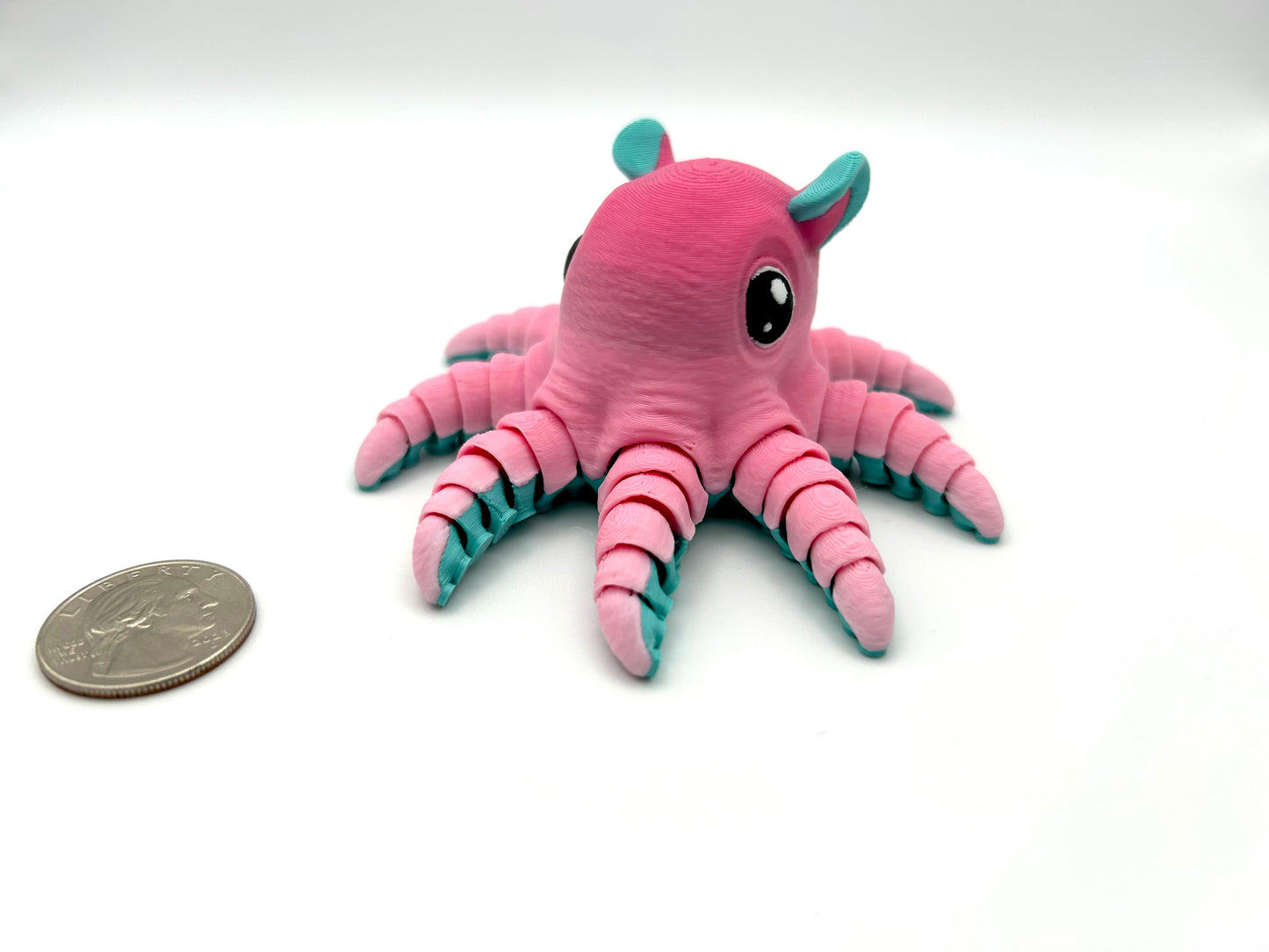 Flapjack Octopus