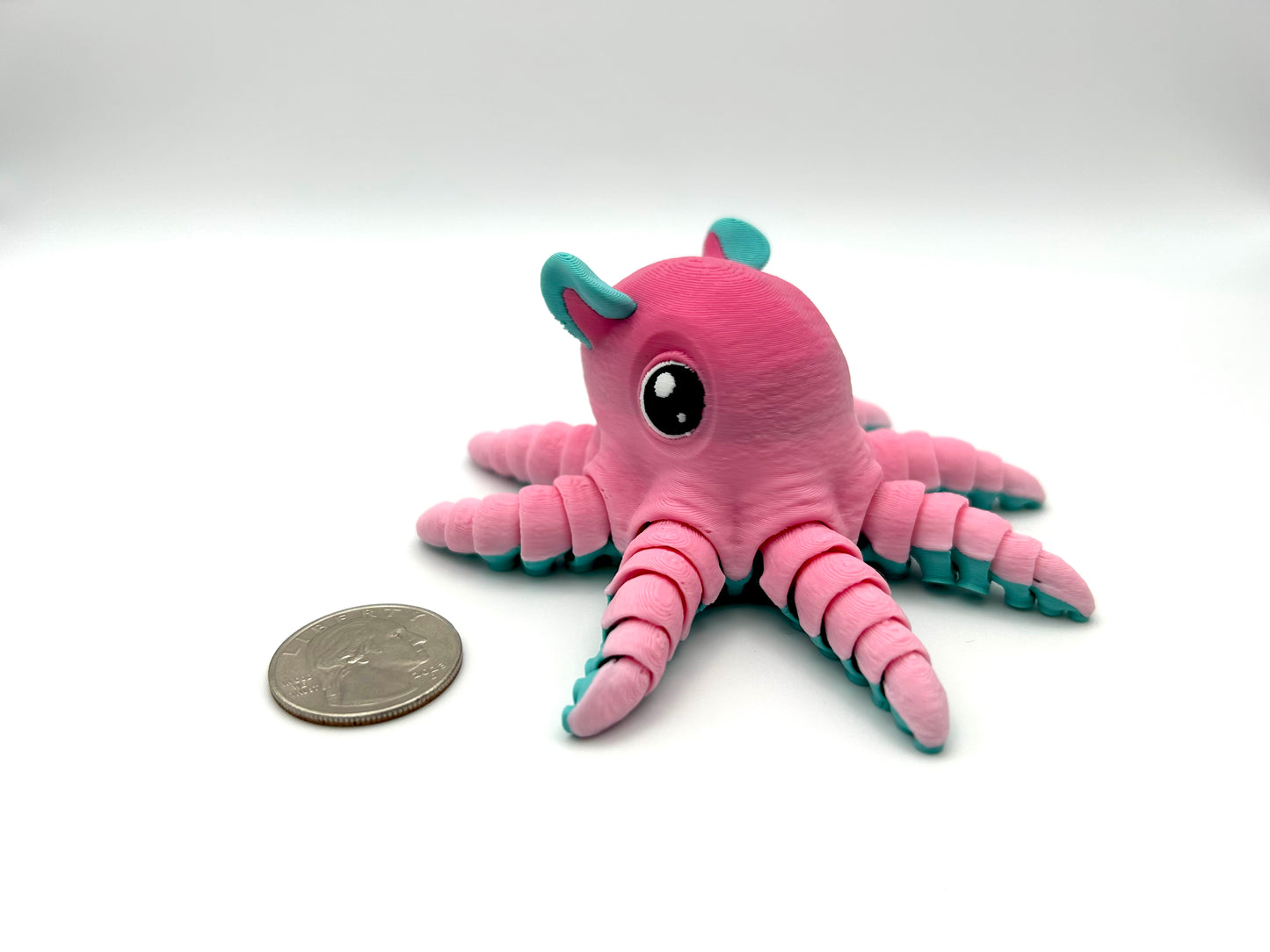 Flapjack Octopus