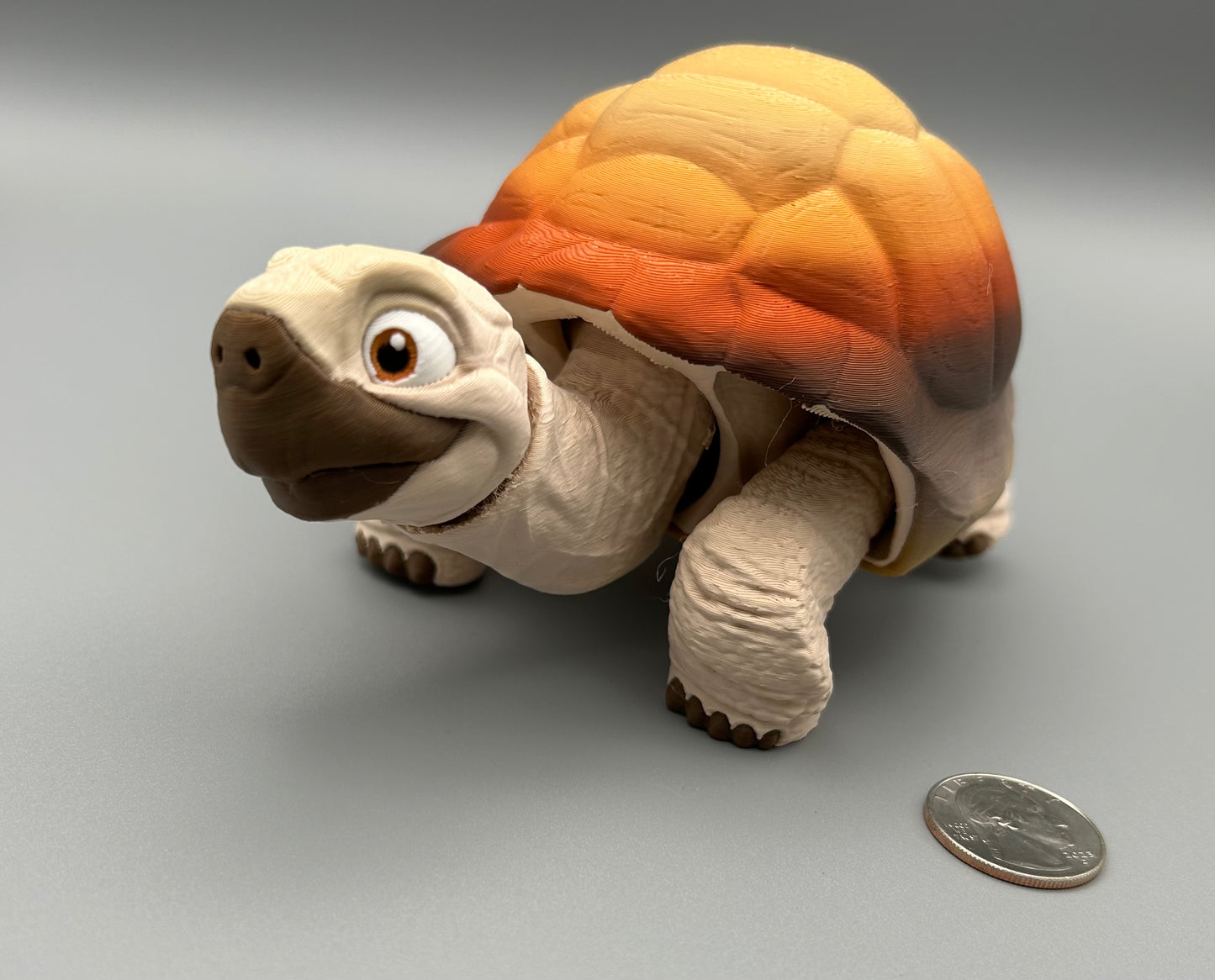 Tortoise