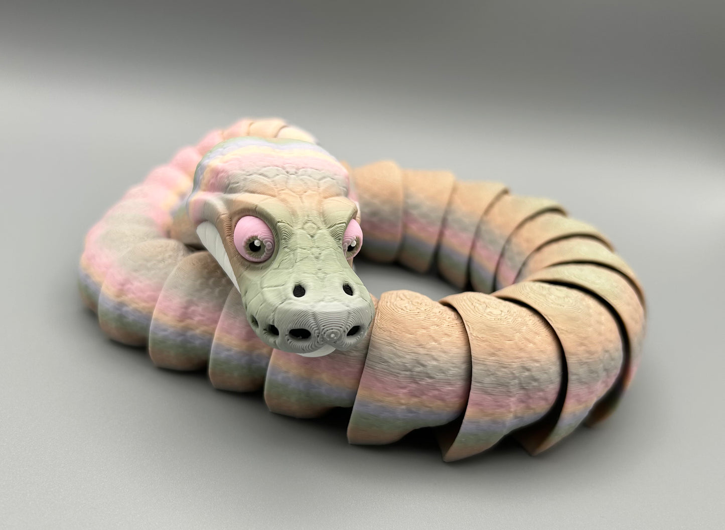 Ball Python Snake