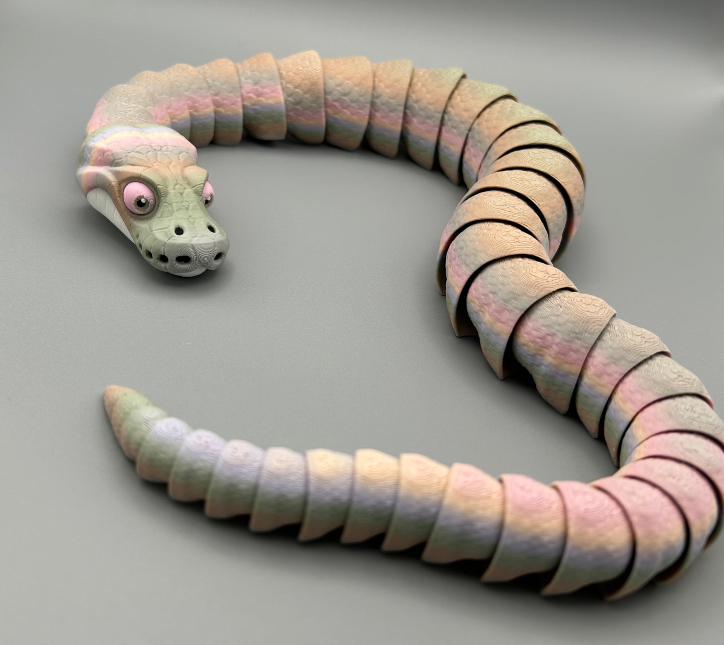 Ball Python Snake