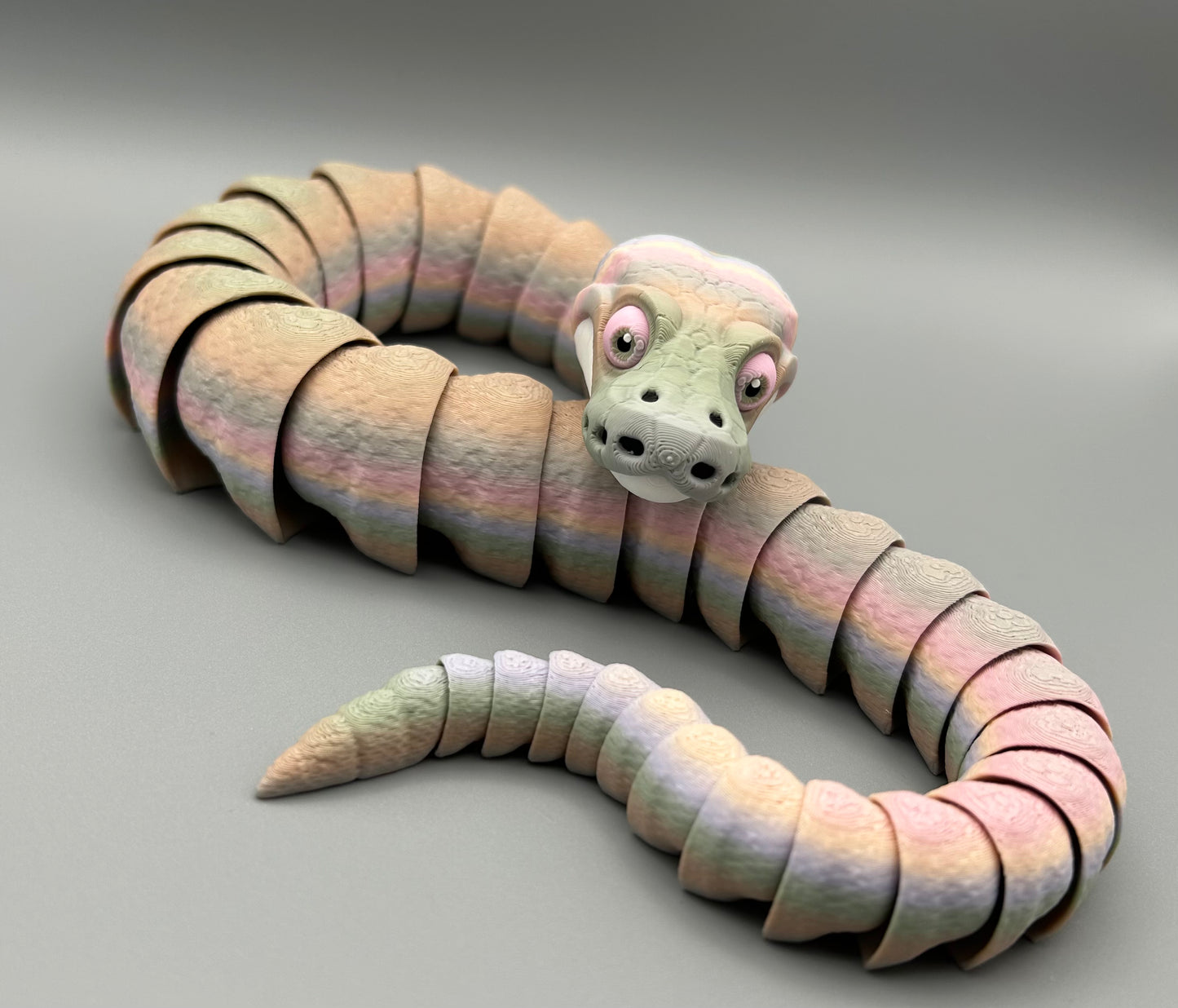 Ball Python Snake