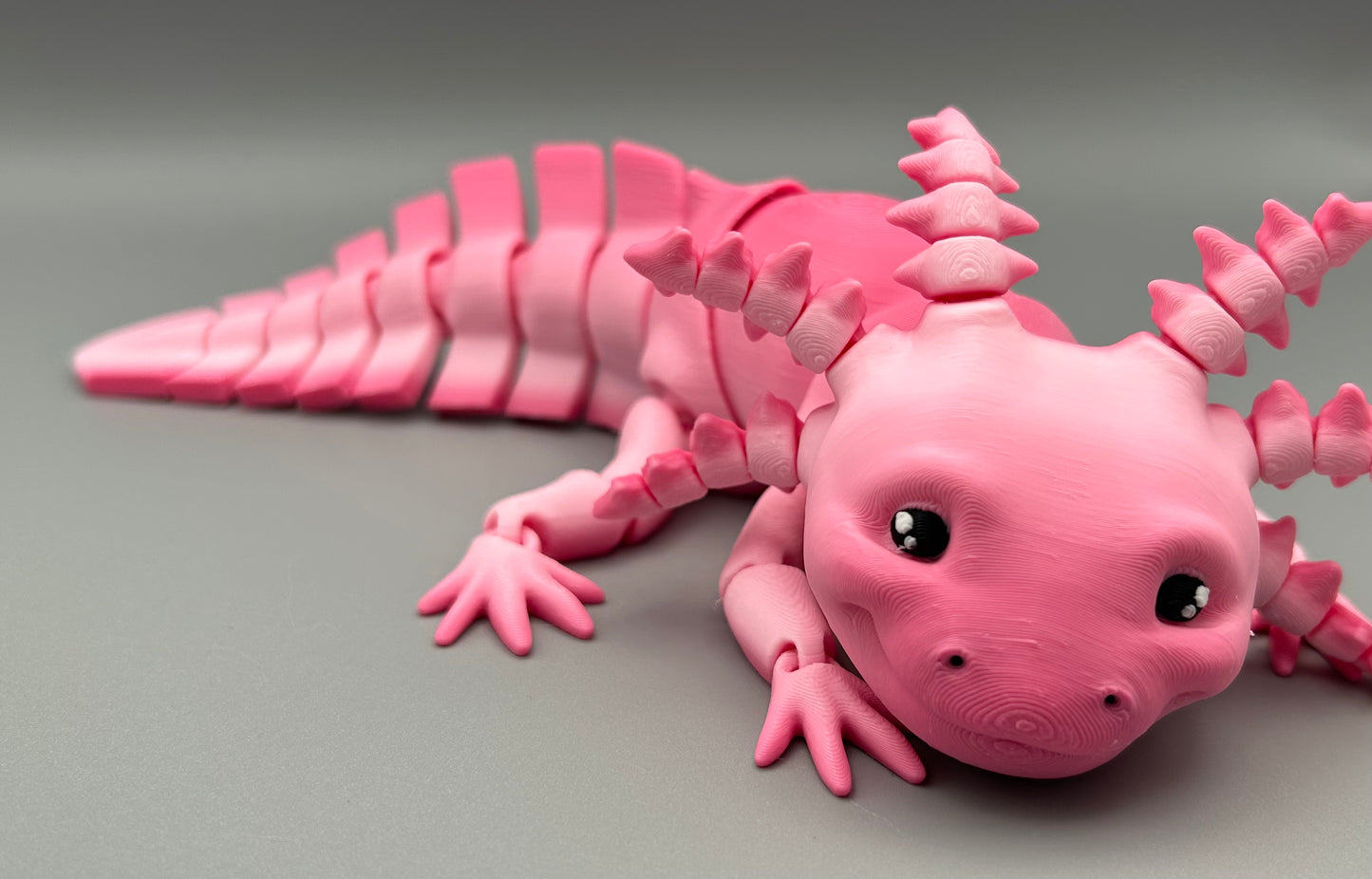 Axolotl