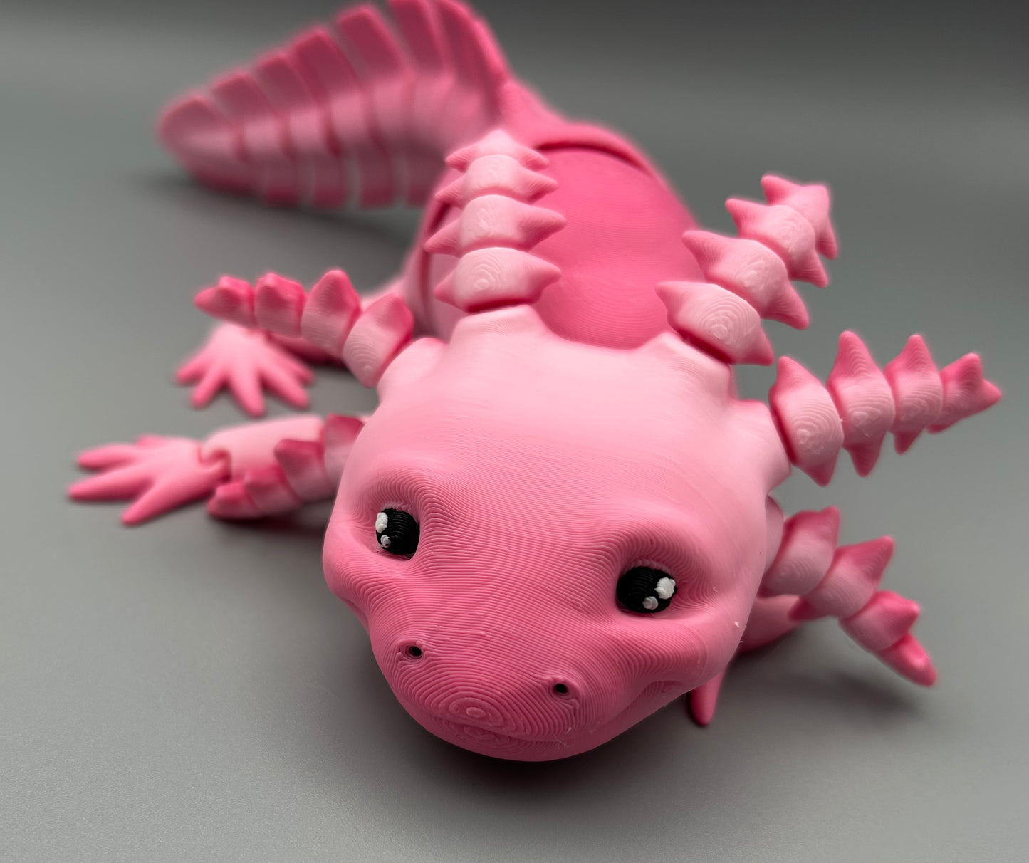 Axolotl