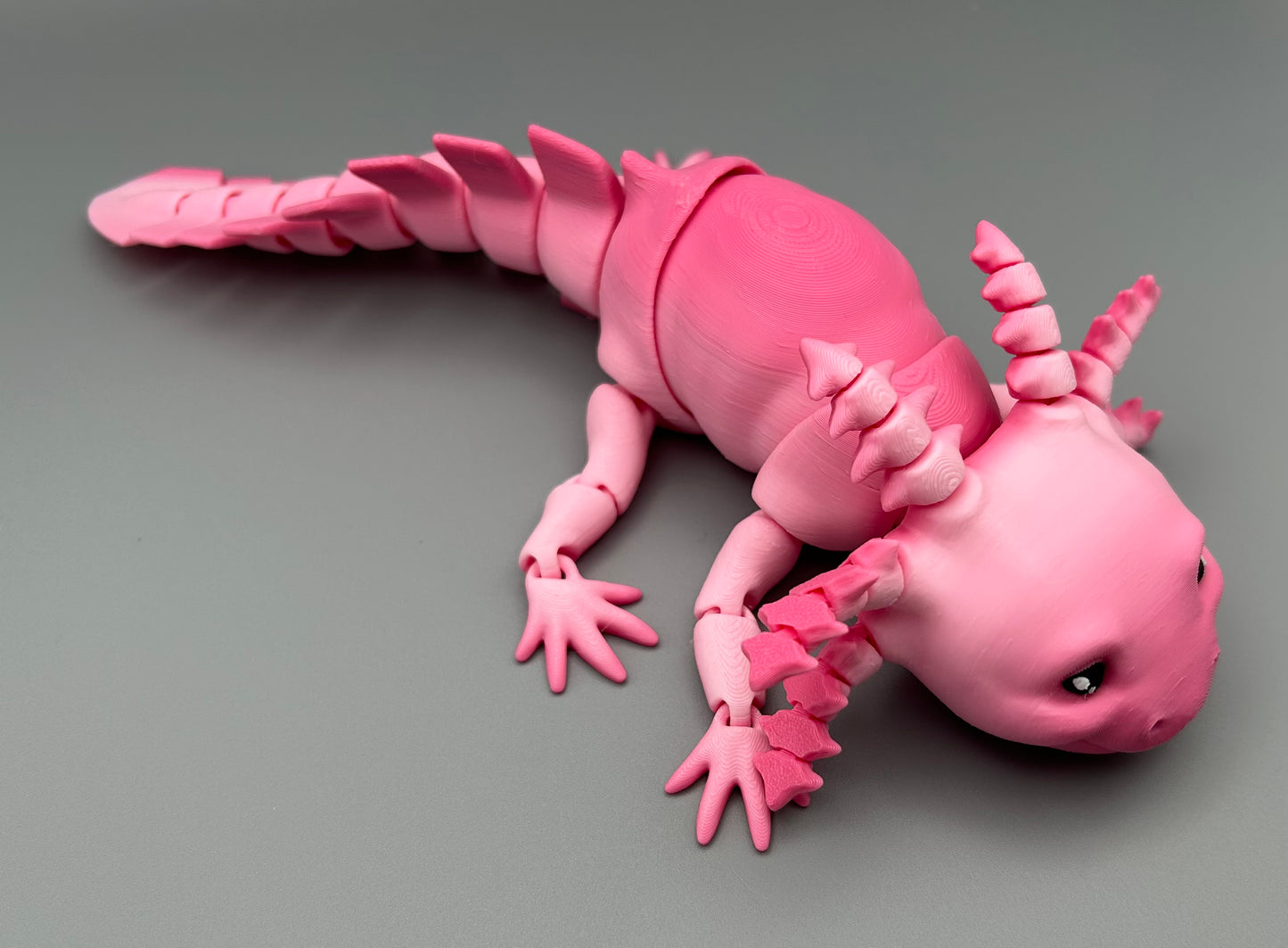 Axolotl